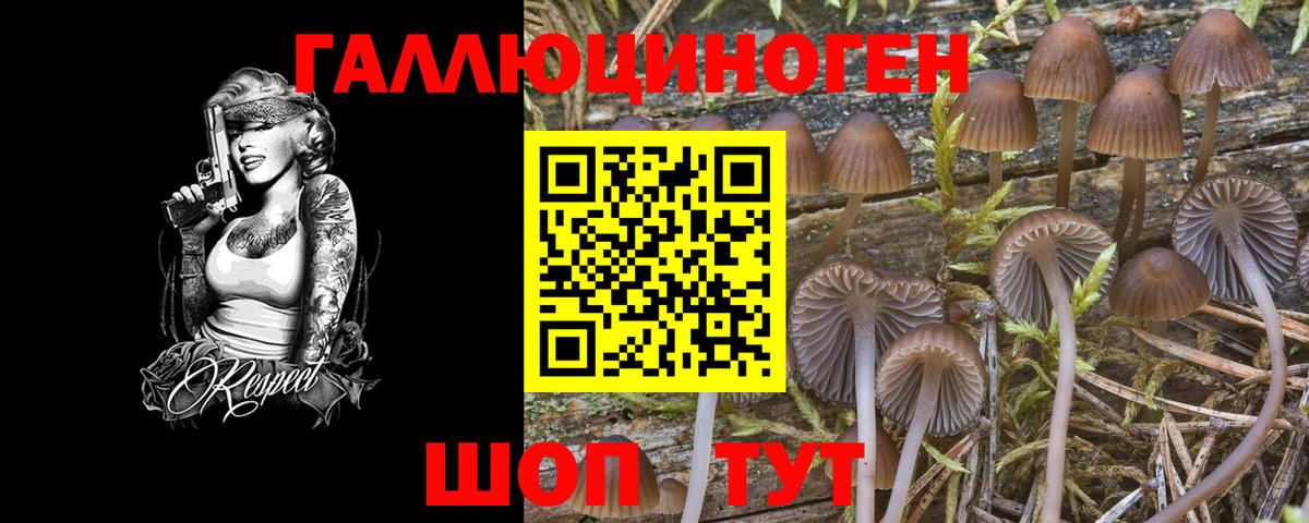 Галлюциногенные грибы Cubensis Находка