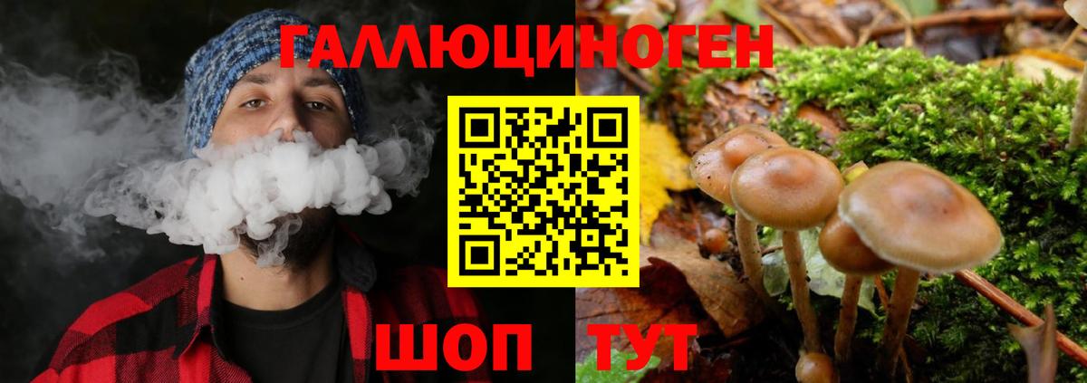 Находка  Галлюциногенные грибы MAGIC MUSHROOMS  Вход с VPN  наркота  Псилоцибиновые грибы Cubensis 